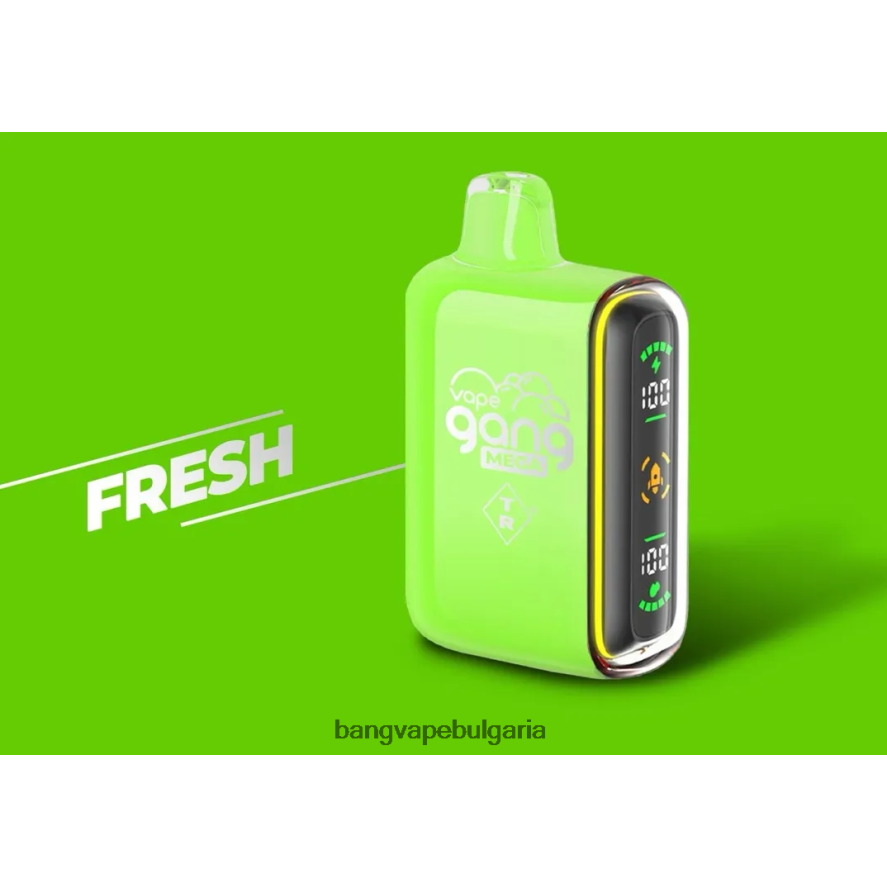 Vape Gang MEGA Вейп за еднократна употреба с 20 000 впръсквания (кутия от 5) свежи Bang Vape Bulgaria RF0JTD53