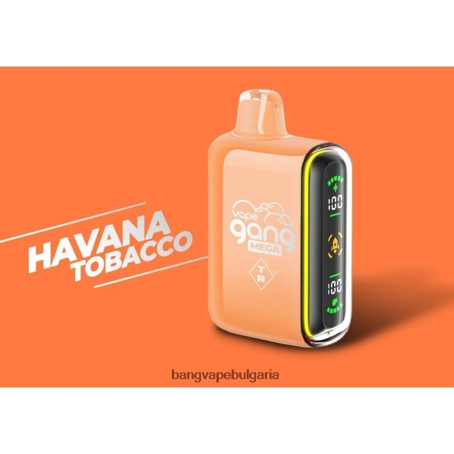 Vape Gang MEGA Вейп за еднократна употреба с 20 000 впръсквания (кутия от 5) тютюн Хавана Bang Vape Sofiya RF0JTD55