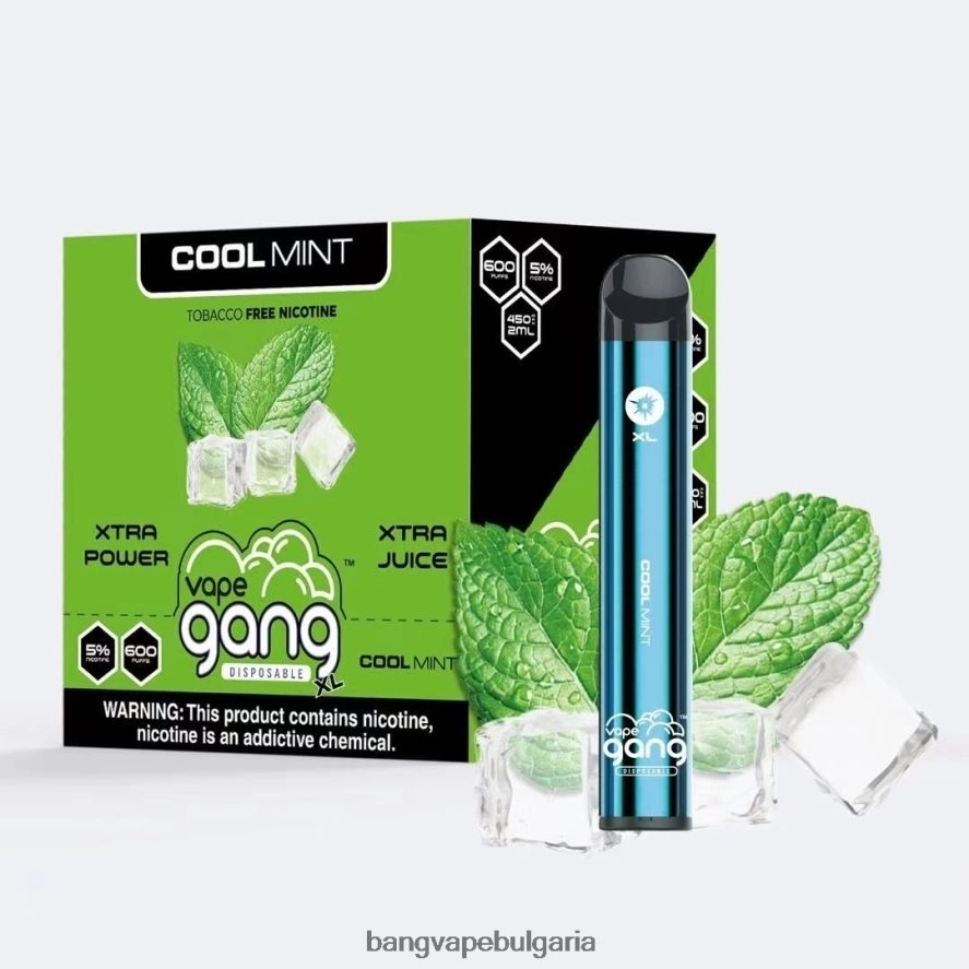 Vape Gang XL вейпове за еднократна употреба 600 впръсквания (кутия от 10) хладна мента Vape Gang Disposables RF0JTD79
