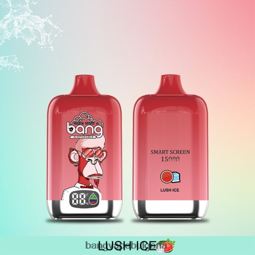 Bang Vape Digital Smart Screen 15000 впръсквания 25 мл разполагаем Vape Gang Bulgaria RF0JTD11